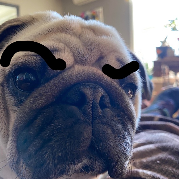 Meet your Posher, Angela - Picture 1 of 1